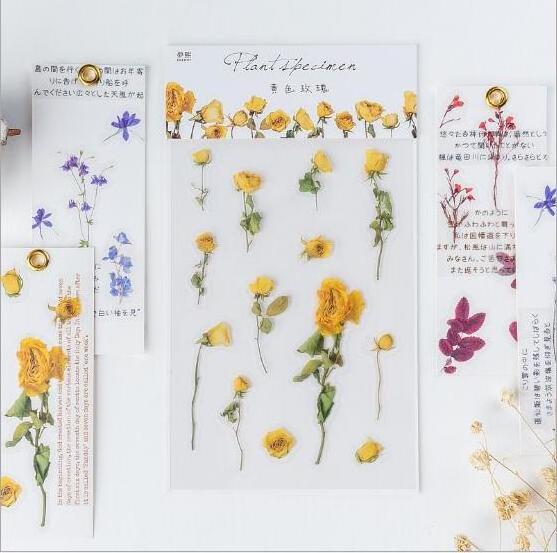 10 Styles Creative PET Dried Flower Sticker Decorative Sticker Leaves Plants Planner Diary Scrapbook Photo Album