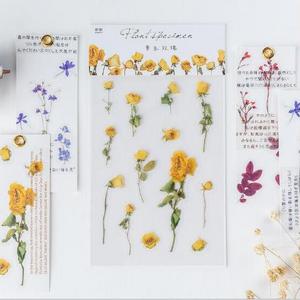 10 Styles Creative PET Dried Flower Sticker Decorative Sticker Leaves Plants Planner Diary Scrapbook Photo Album