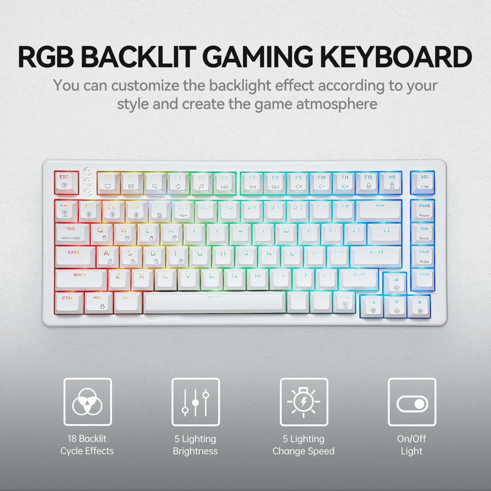 Custom Teclado 60% 75% Keyboard PBT Pc Computer Gaming Usb Wired Back Light led Gamer Mechanical Keyboard