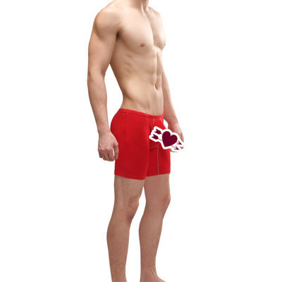 Wholesale boxer briefs  long legs wear sports modal men underwear