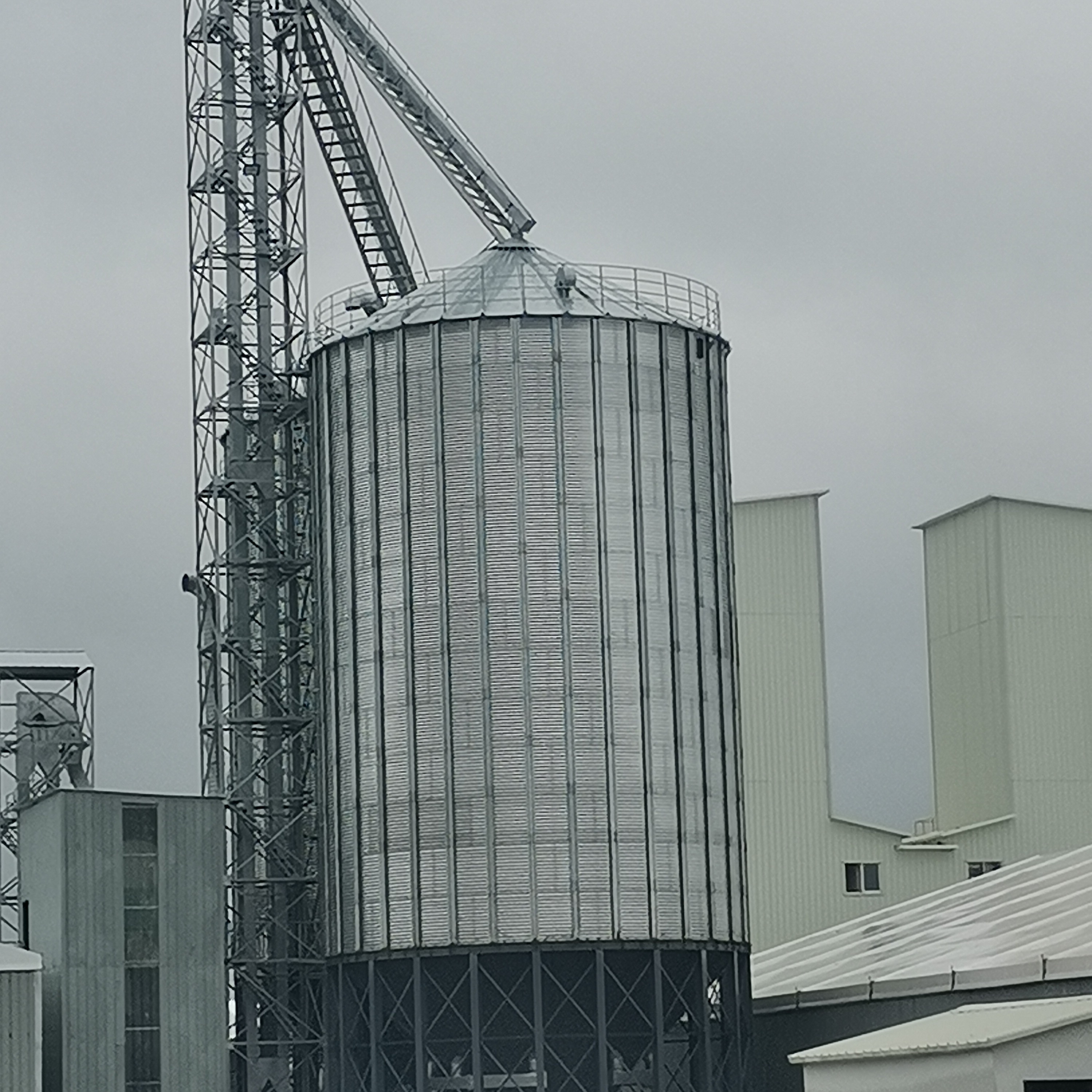 corn seed storage silo bins for grain storage