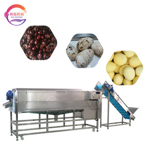 Polygonum Multiflorum Cleaning Machine Sea Cucumber Washing Polishing Machine