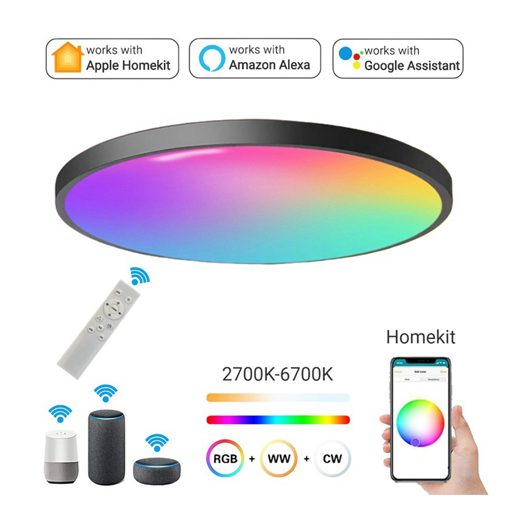 Smart Wifi Voice APP Alexa Remote Control Music LED Ceiling Lights Dimmer RGB Modern Round Ceiling Lamp For Living Room Bedroom