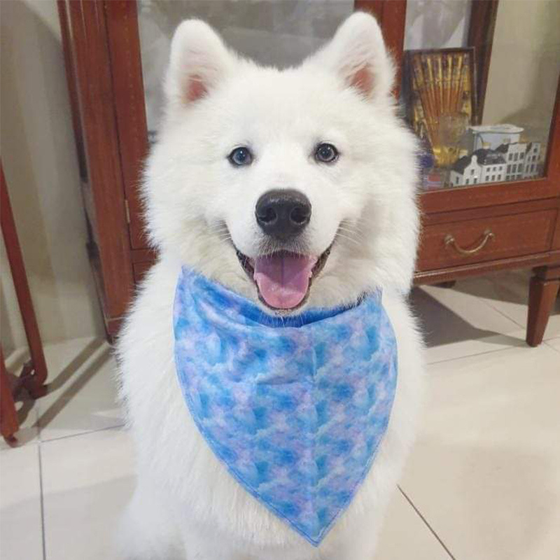 Custom high quality cotton pet bandana cute printing luxury dog bandanas wholesale dog collar matched custom design logo