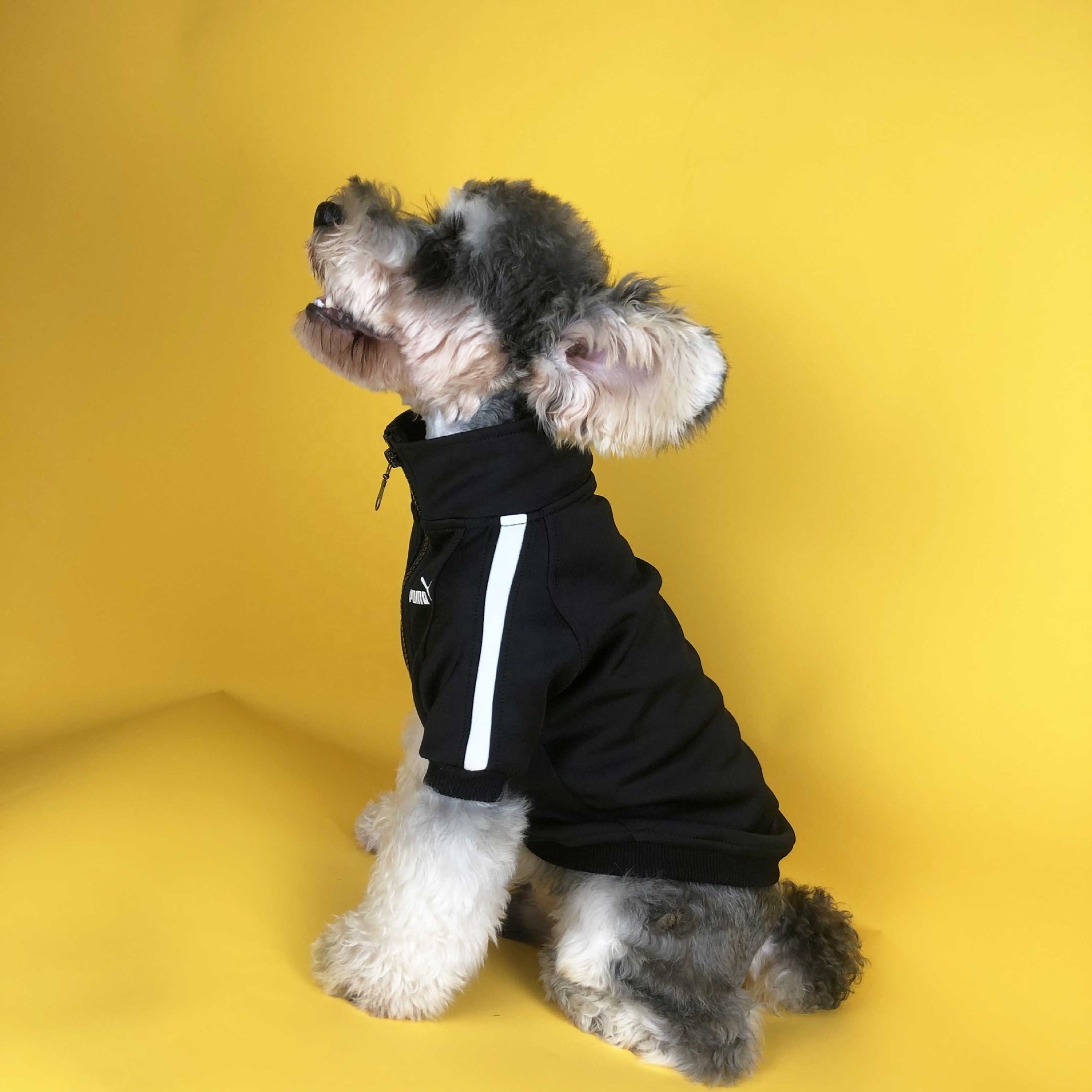 Fashion dog hoodie sports style trendy classic pet clothes for dog Sweatshirt high quality cotton chic puppy jacket hoodie dog