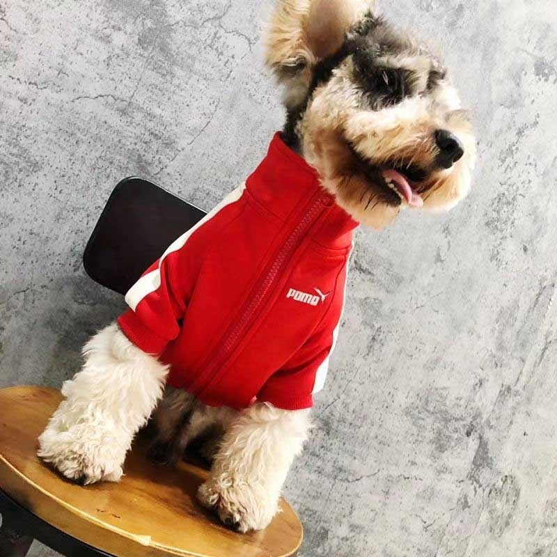 Fashion dog hoodie sports style trendy classic pet clothes for dog Sweatshirt high quality cotton chic puppy jacket hoodie dog