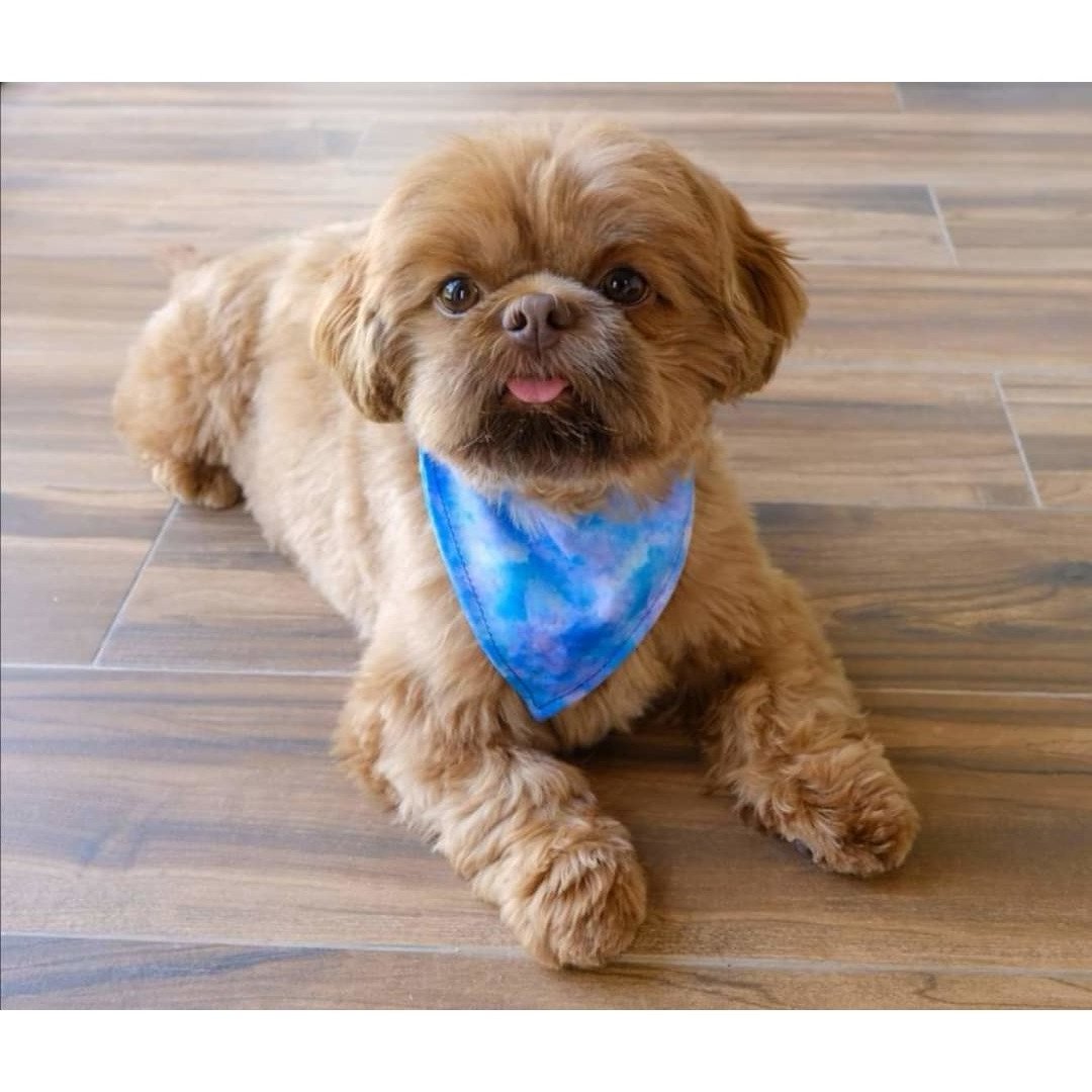 Custom high quality cotton pet bandana cute printing luxury dog bandanas wholesale dog collar matched custom design logo