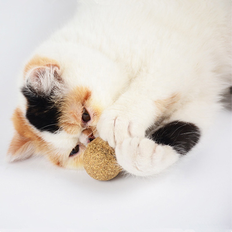 Natural Catnip Edible Treat Ball cat toy Favor Home matatabi ball Chasing Toys Healthy Safe teeth cleaning for Pet Cat Kitten