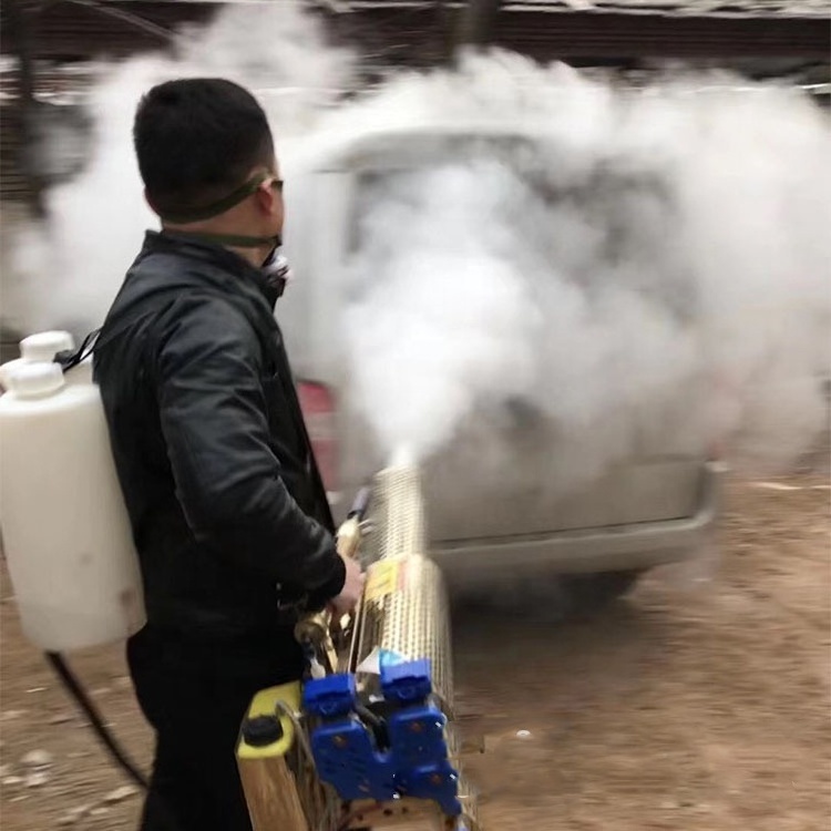 Mist Blower Sprayer Mosquito Pest Control Thermal Fogging Machine