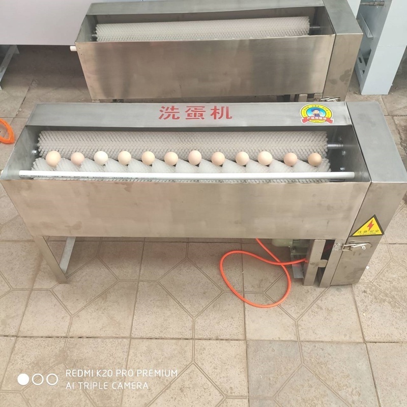 Automatic Egg Cleaner Equipment Egg Washing Machine For Sale