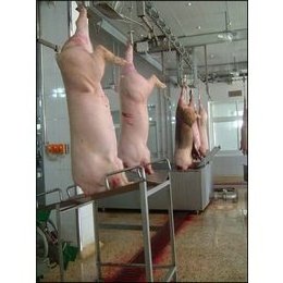 Pig Slaughter House Equipment / Pig Hair Removal Machine / Pig Slaughter Equipment