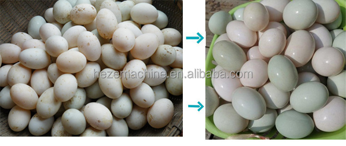 Automatic Egg Cleaner Equipment Egg Washing Machine For Sale