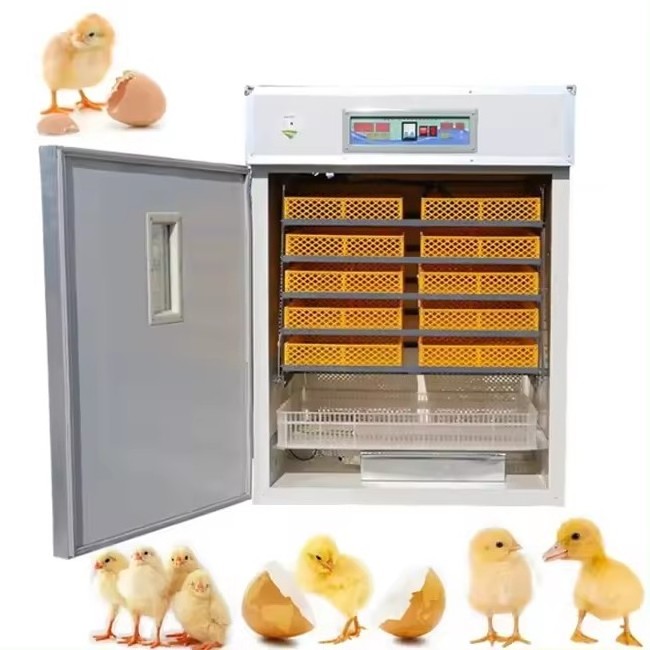 Energy Saving Chicken Egg Incubator Hatching Machine 528 Egg Incubator Used Chicken Egg Incubator for Sale