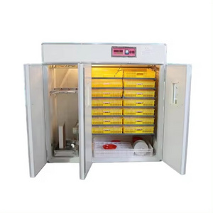 Energy Saving Chicken Egg Incubator Hatching Machine 528 Egg Incubator Used Chicken Egg Incubator for Sale