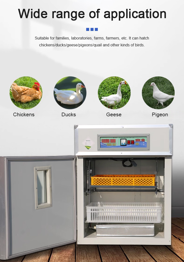 Energy Saving Chicken Egg Incubator Hatching Machine 528 Egg Incubator Used Chicken Egg Incubator for Sale