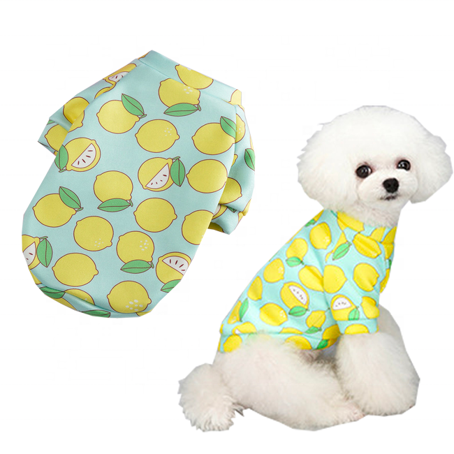 Custom Cartoon Dog Clothes Comfortable Plus Fleece Ropa Para Perro Puppy Teddy Pet Hoodie