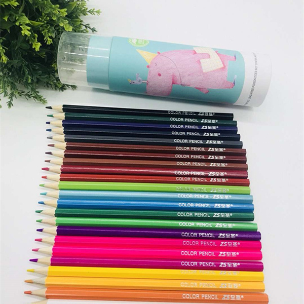 Wholesale Cartoon tube 12 color 18 24 36 48 color pencil color lead painting pen