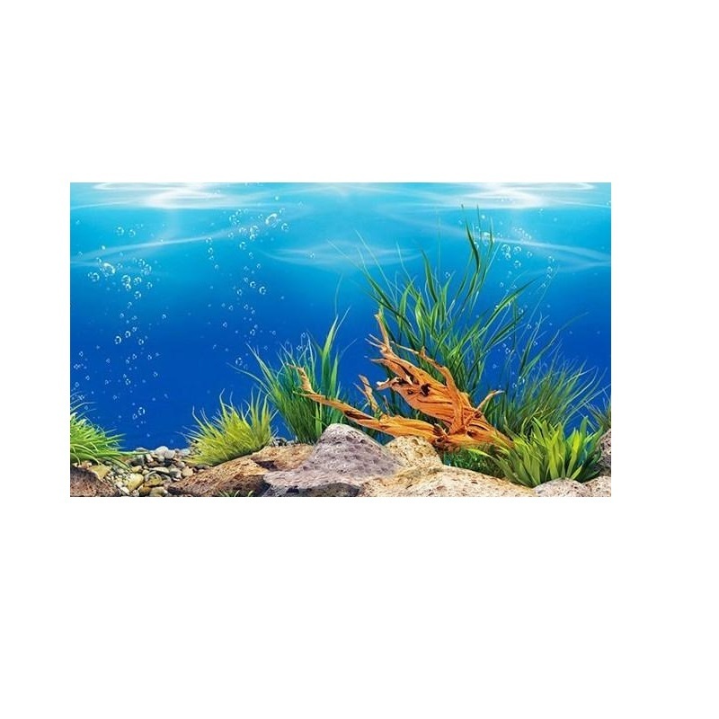 3D Fish Tank Sticker Aquarium Landscape Background Painting Double-sided Ocean Sea Stone Plants Pvc Aquarium Decoration Sticker