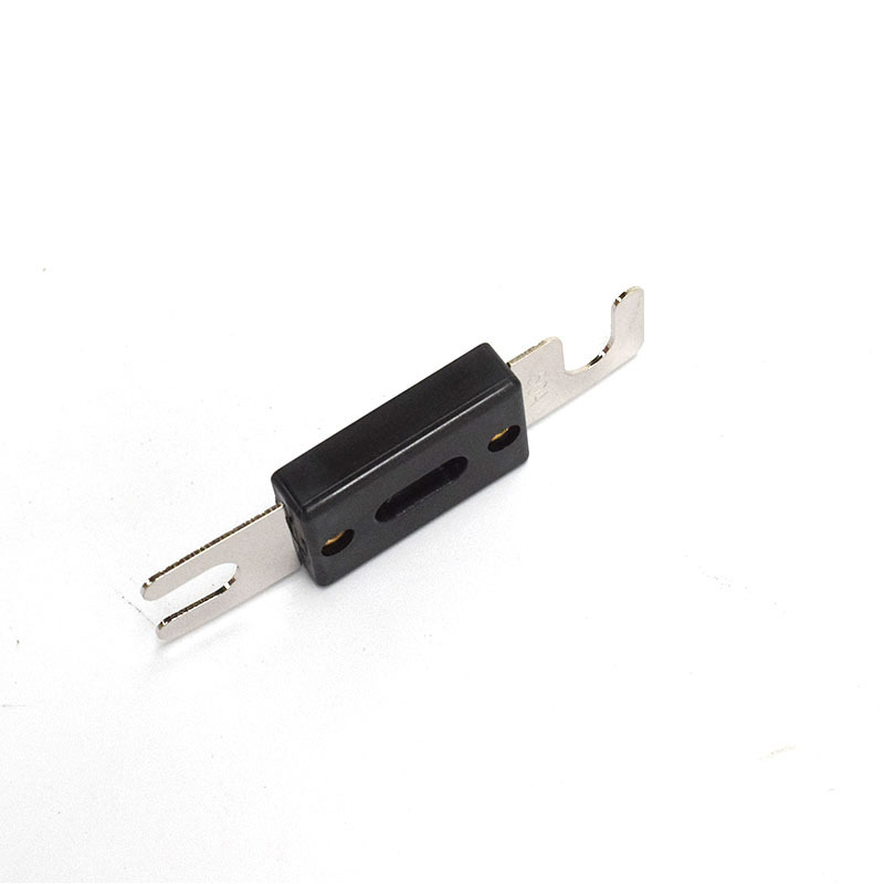 Hot sale 120 Amp ANL Fuse Platinum Plated