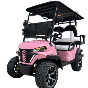 low price fashion style golf cart with 10 inch multi function touch screen and folding back seats