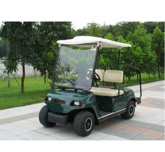 2 seater electric golf cart utility buggy food golf carts