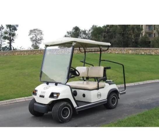 2 seater electric golf cart utility buggy food golf carts