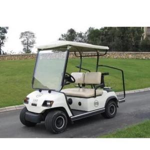 2 seater electric golf cart utility buggy food golf carts