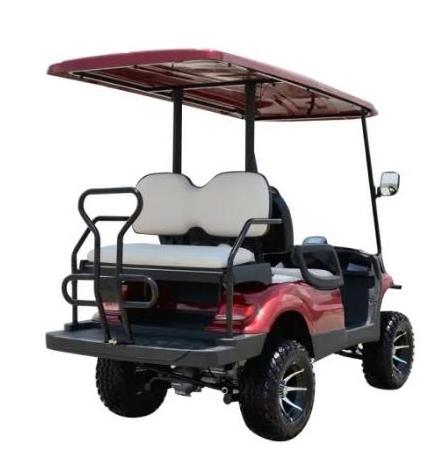 2+2 lifted electric golf cart with ball washer and  ice box and speed meter high level hot sale in USA and Canda