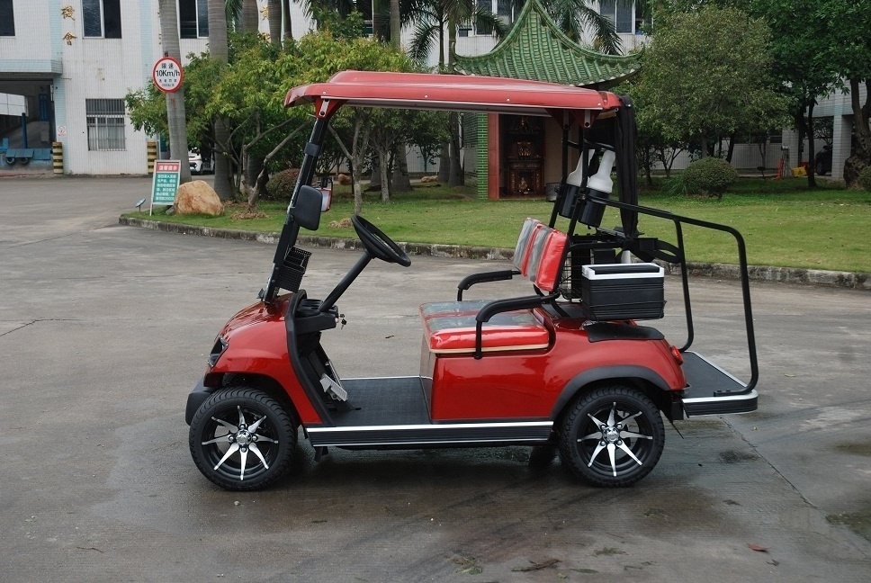 2-seater golf cart with rear roof and canopy can work with lithium battery