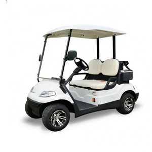 2 seats electric cart golf buggy with high quality car electric conversion kit