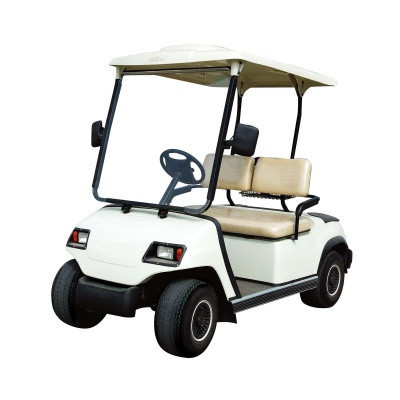 2-seater golf cart with rear roof and canopy can work with lithium battery