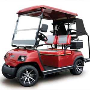 2-seater golf cart with rear roof and canopy can work with lithium battery