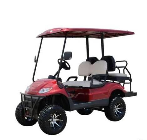 2+2 lifted electric golf cart with ball washer and  ice box and speed meter high level hot sale in USA and Canda