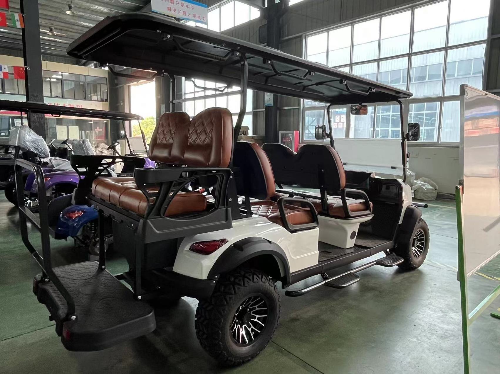 low price fashion style golf cart with 10 inch multi function touch screen and folding back seats