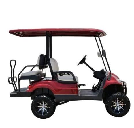 2+2 lifted electric golf cart with ball washer and  ice box and speed meter high level hot sale in USA and Canda