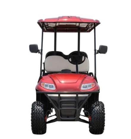 2+2 lifted electric golf cart with ball washer and  ice box and speed meter high level hot sale in USA and Canda