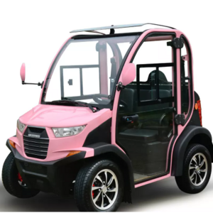 electric car closed small size 2 seater with buggy space 4 wheel street legal with air conditioner