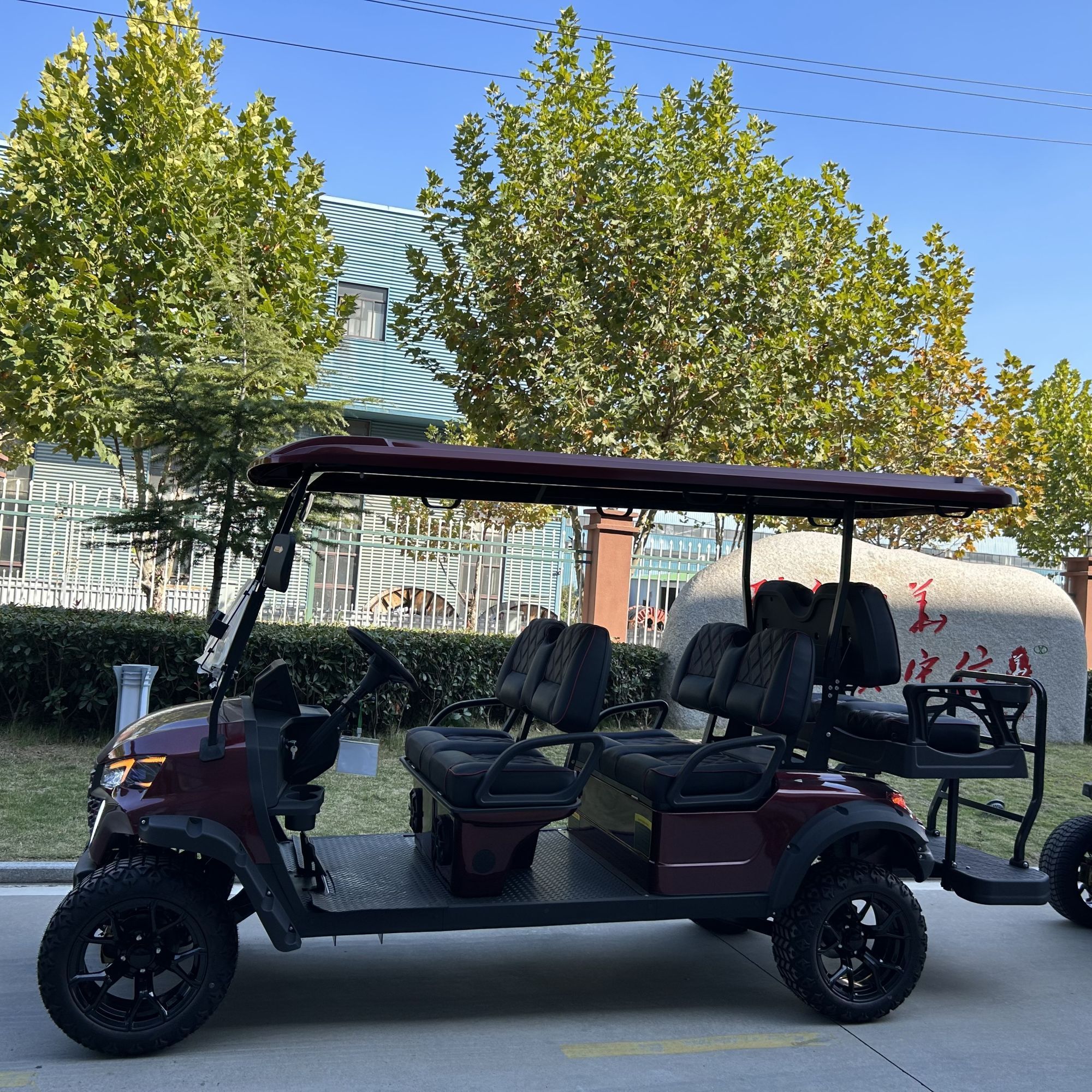 Lithium Battery Ac Motor Golf Buggy Electric Cart 2/4/6/8/10 Seater Wholesale 48/72v Golf Carts