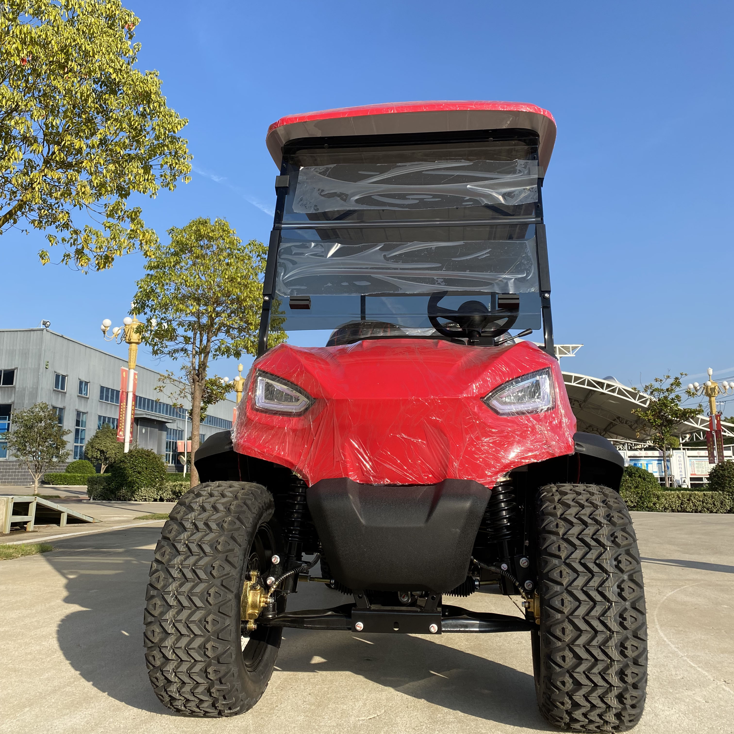 New Popular Adult Buggy Cool Lithium Golf Cart with Reasonable Price Golf Cart Electric for Sale