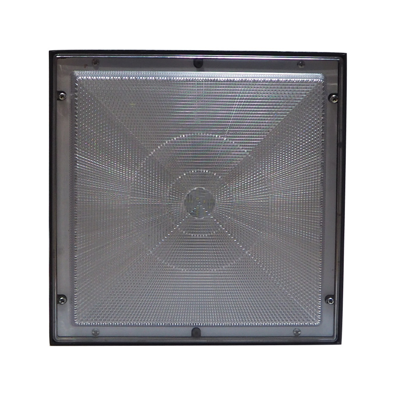 50 Watt with Pc Cover UV Filter led Canopy  light