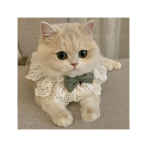 LM0140G Summer cat scarf Fashionable cat bow saliva towel Pet cute bib Pet supplies cat neck collar