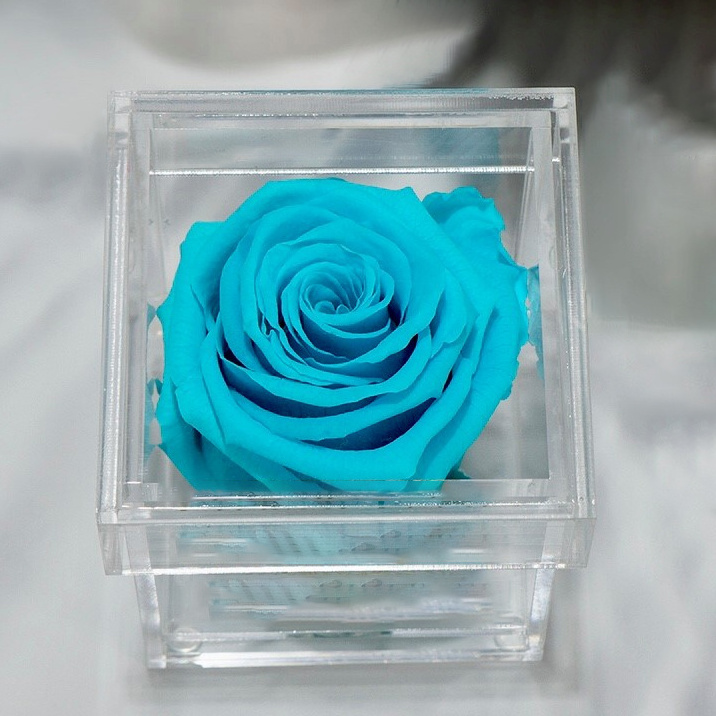 Floral Cadbury Roses Preserved Roses Acrylic Box Long Lasting Roses Rosa Eterna