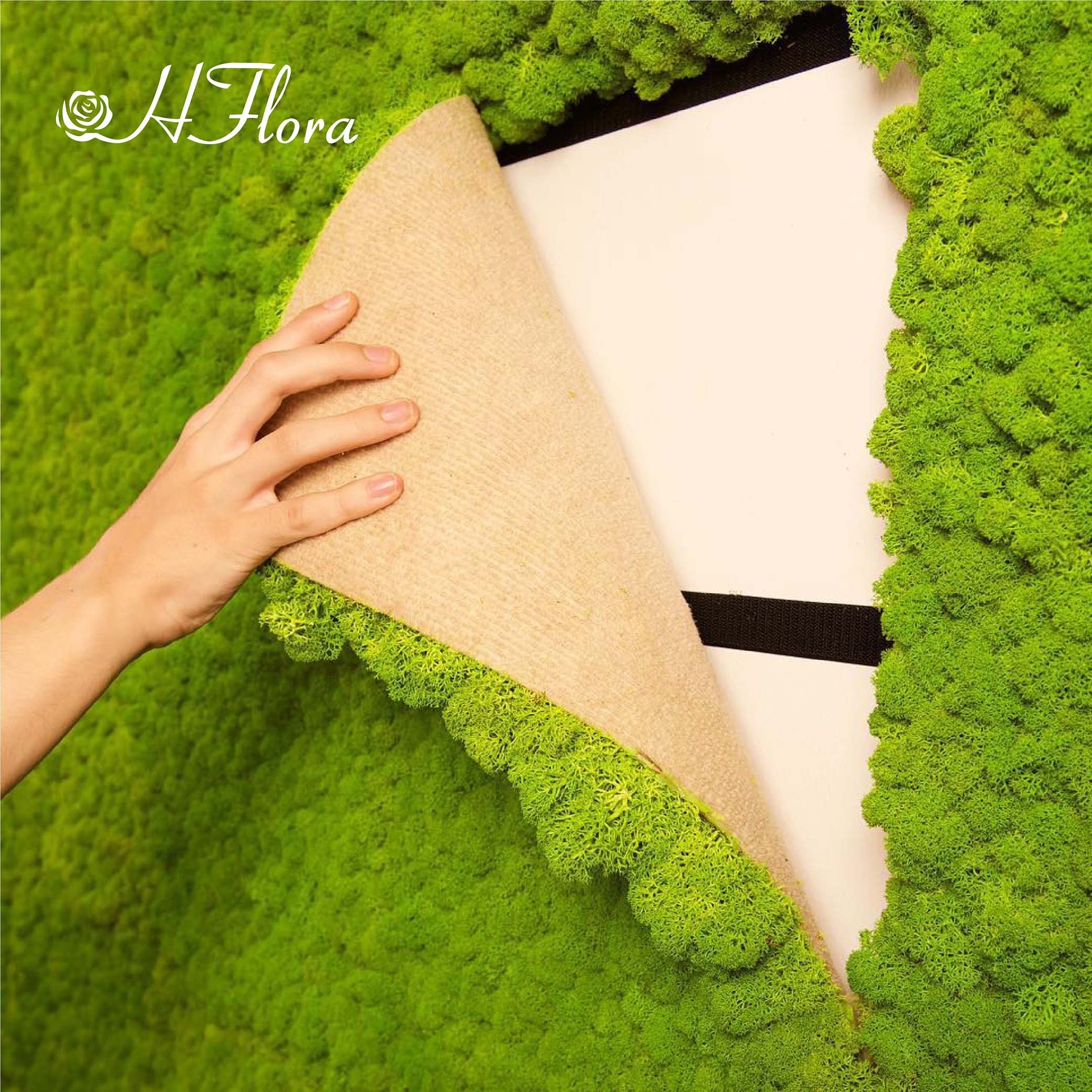 HFlora High Quality Reindeer Moss Wall Decoration Natural Preserved Moss panel