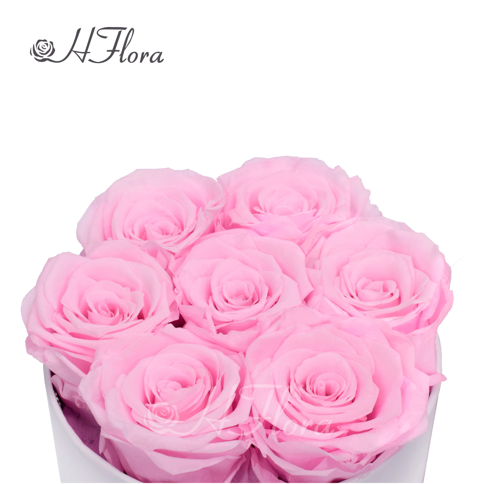 Hot Selling Pink Flower Roses in Gift Boxes High Quality Rose Preserved Flower Wholesale  for Decor Rose Gifts For Mom