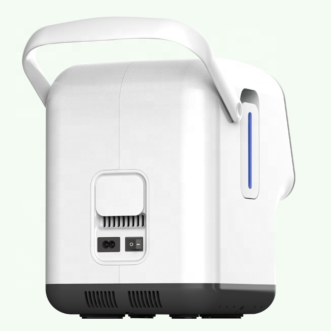 A mini 1L portable oxygen concentrator for household use