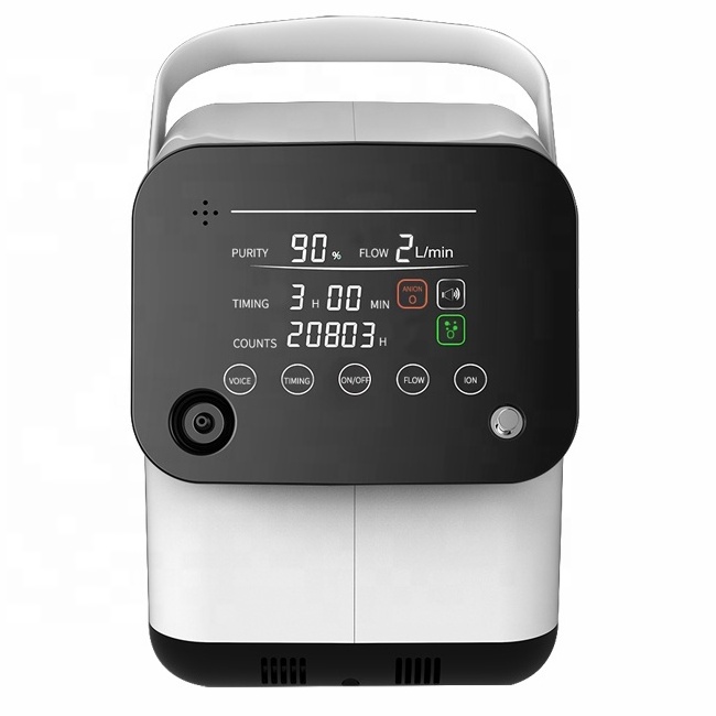 A mini 1L portable oxygen concentrator for household use