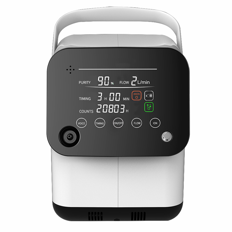 A mini 1L portable oxygen concentrator for household use