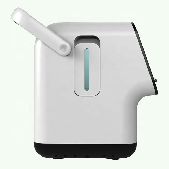 A mini 1L portable oxygen concentrator for household use