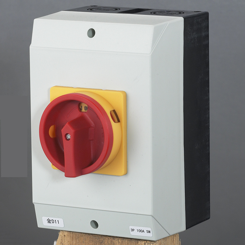 High Quality GLD Series Red yellow pad-lock  Rotary Cam Switches with thermoplastic sealed protect box