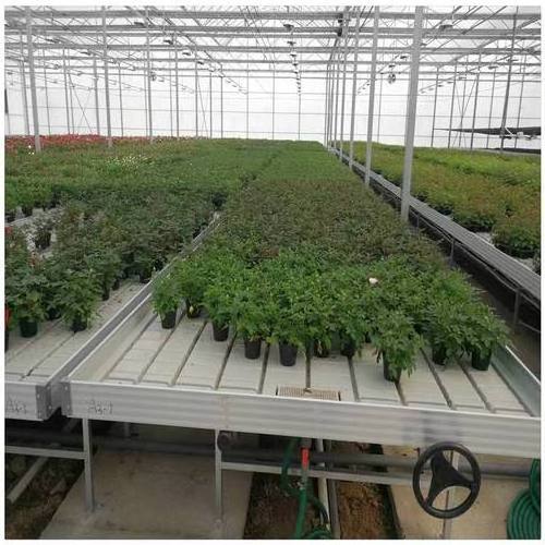 Agricultural Greenhouses rolling bench grow tables 4x8 flood table Ebb and flow tables hydroponic system